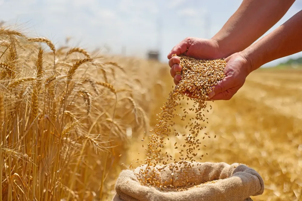 Grossiste en produits bio à Brochon