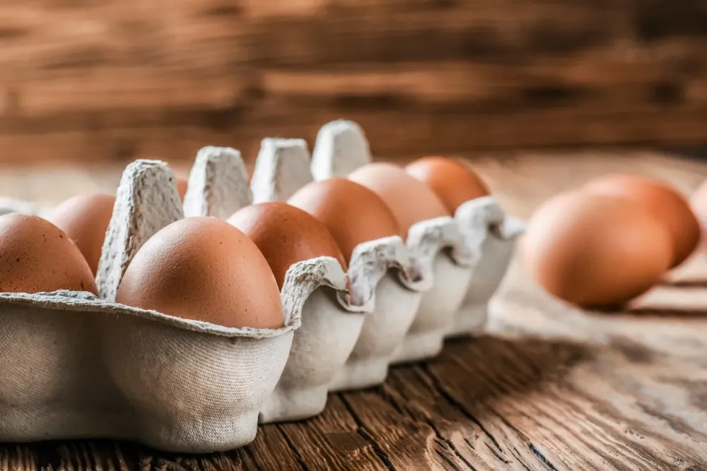 Oeufs bio à Brochon
