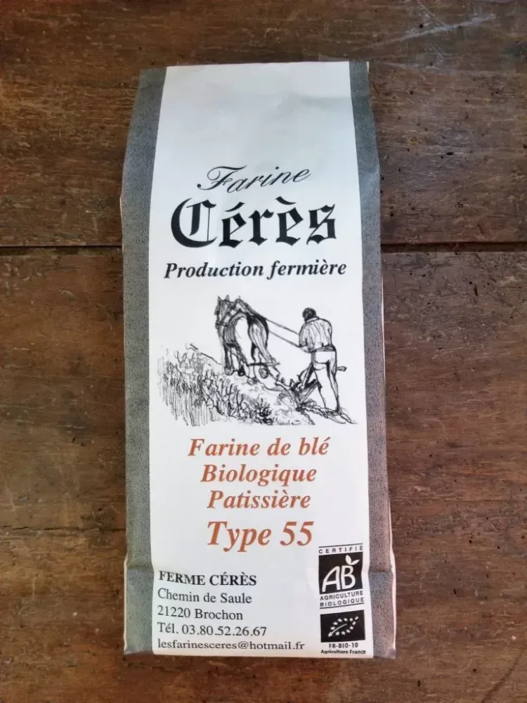 Farine de blé T55