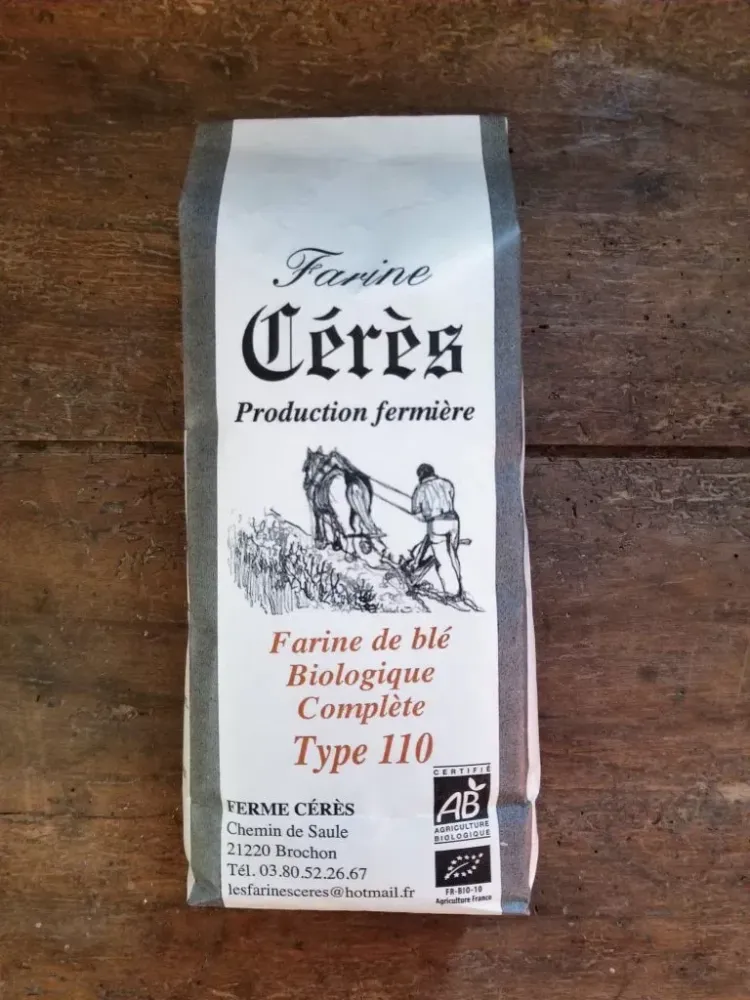 Farine de blé – Complète – T110