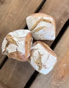 Les pains de tradition biologique au levain (individuel)