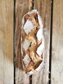 Le pain de campagne aux variétés anciennes biologique au levain