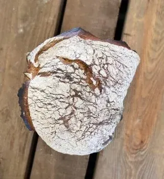 Le pain de petit épeautre et blé biologique au levain